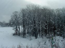 20061206-08hokkaido (13).jpg